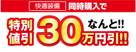 10点セット同時購入で なんと！！特別値引30万円引き！！